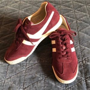 Excellent Gola Harrier in Maroon